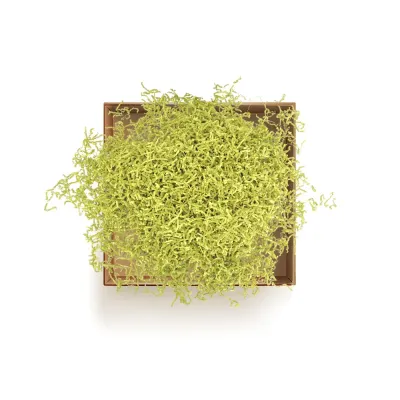 Yellow Crinkle Papers - 1